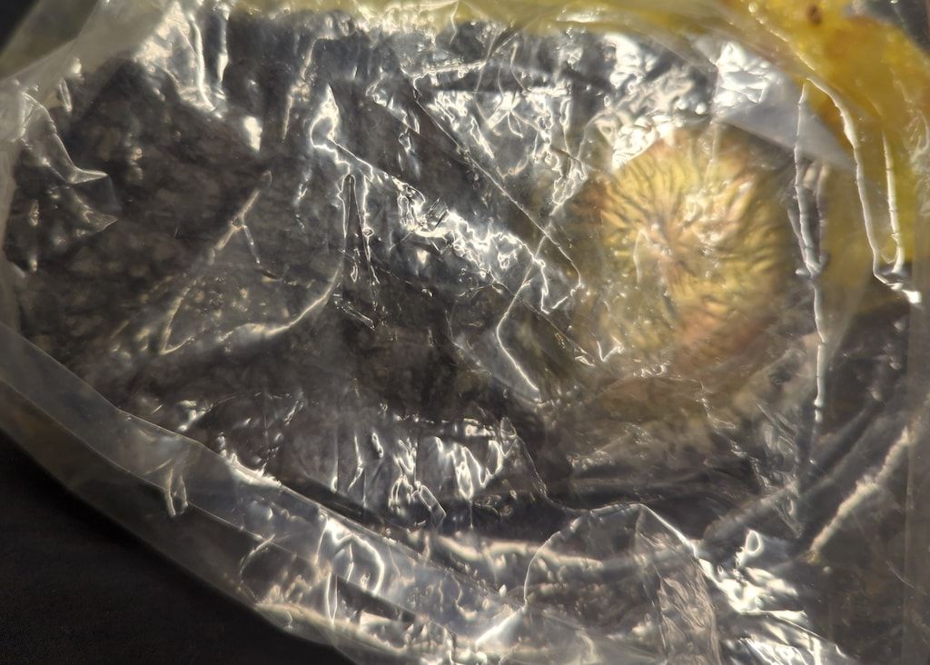 羽沢組 Gメモリーズセレクション キングギドラ シャイニングゴールド