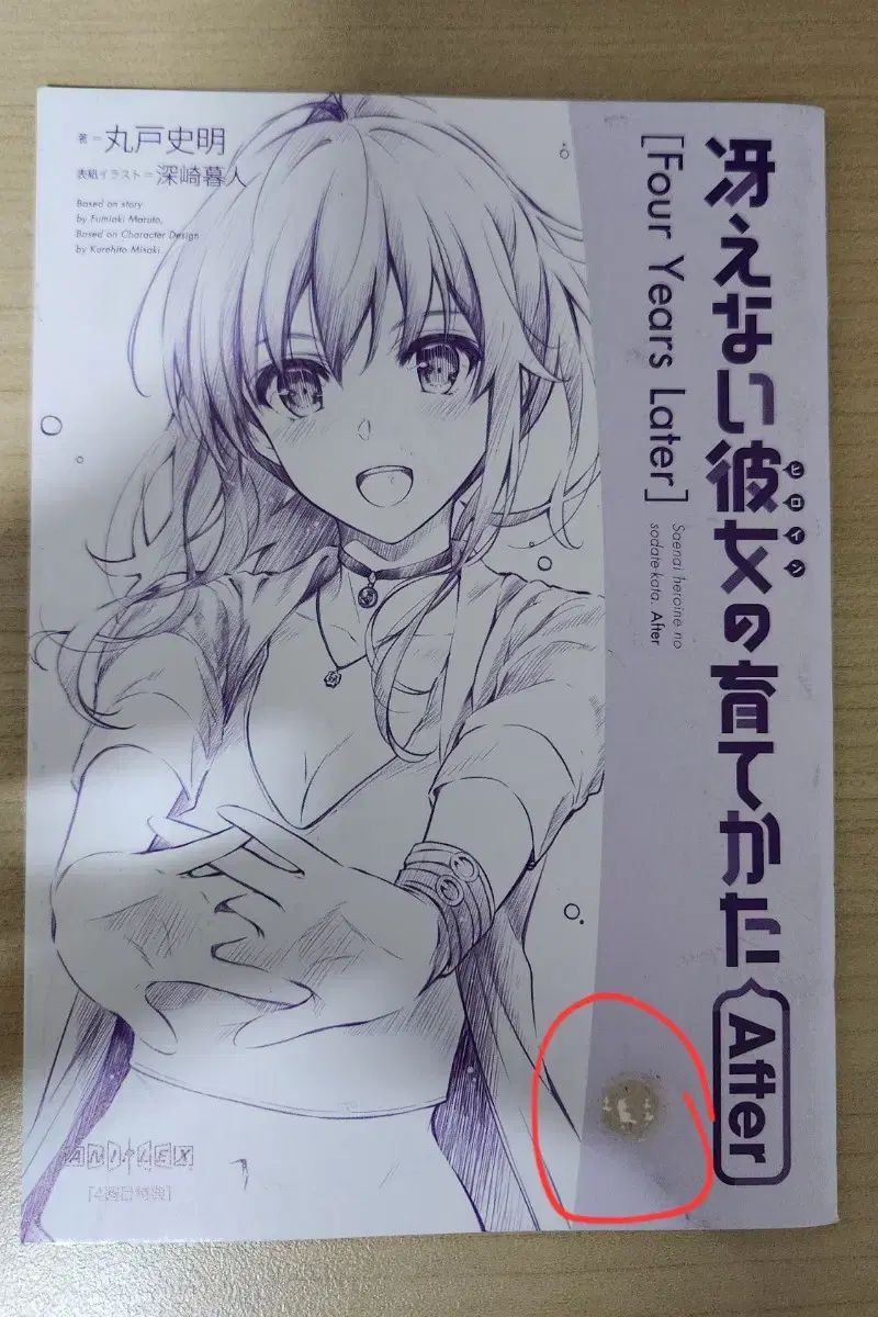 劇場版『冴えない彼女の育てかた Fine』入場特典after小説全巻・原画