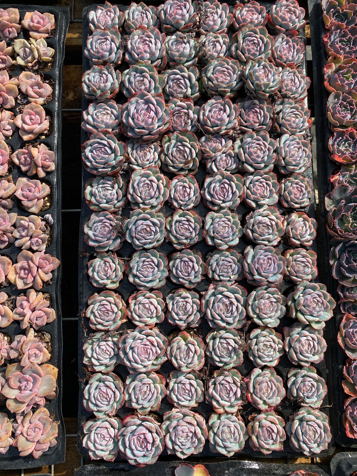 A様 専用 11点 - メルカリ