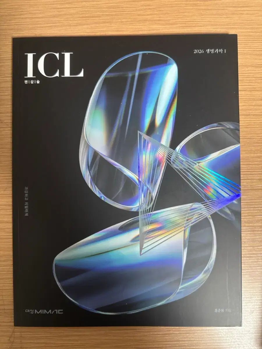 ②うみがめ〚タイマイ〛の剥製 壁掛けフックつき