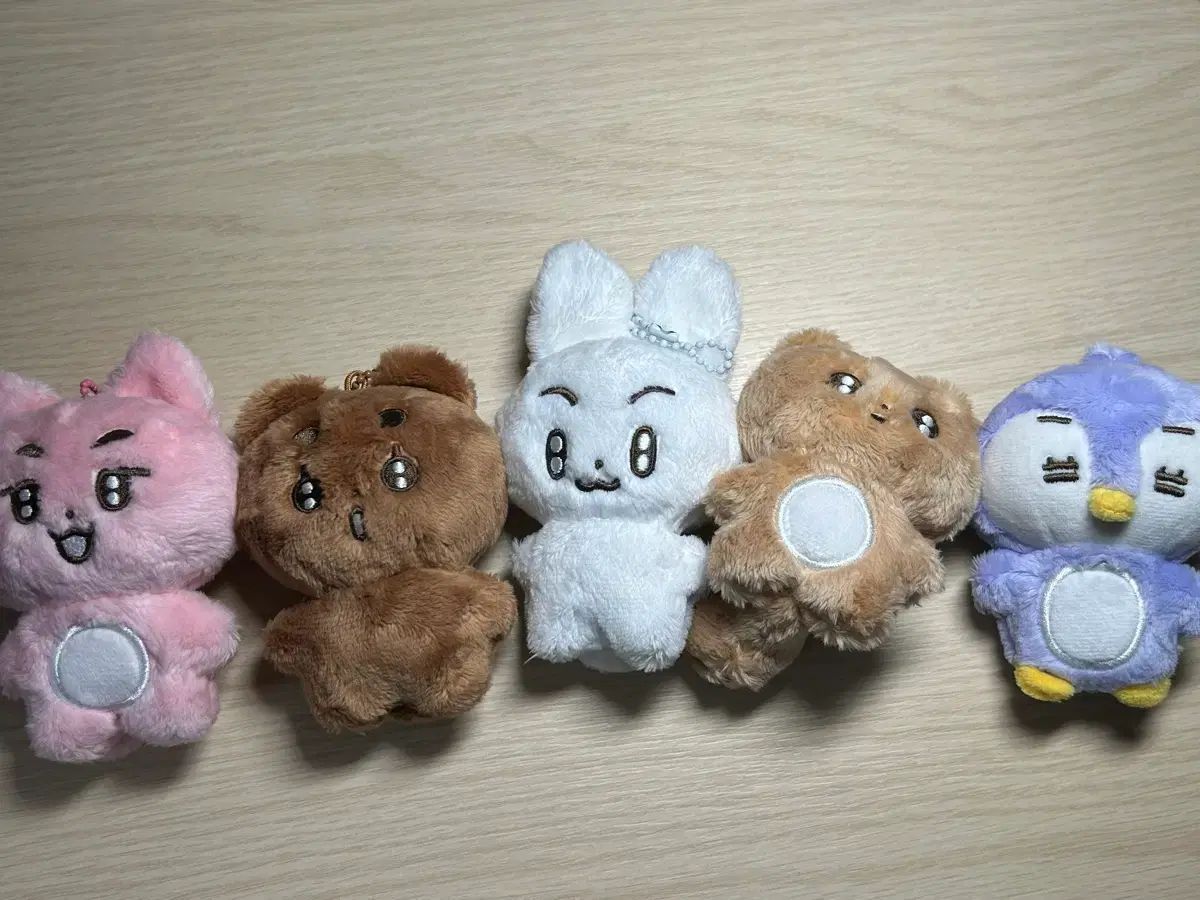 ポバトゥ まとめ トレカ フォトカード