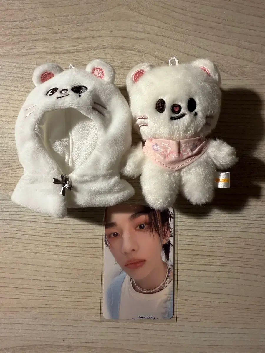 Stray Kids(ストレイキッズ・スキズ・SKZ) SKZOO 10cmぬいぐるみ