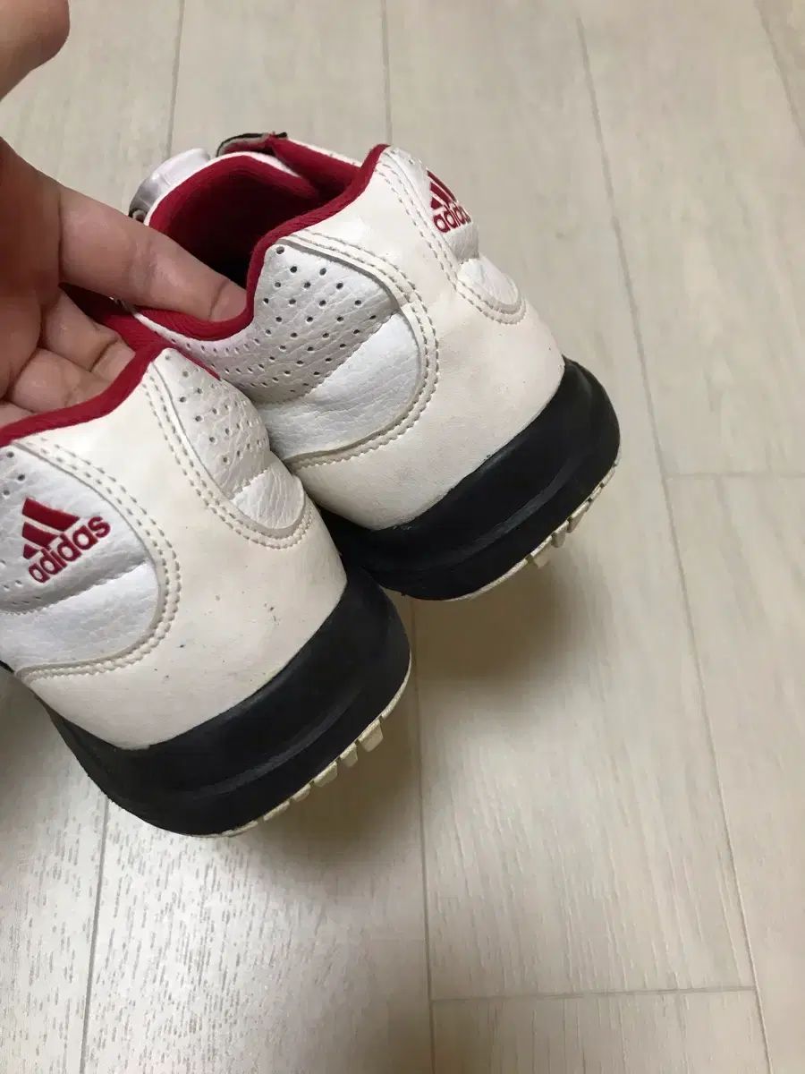 アディダス ゴルフシューズ 白 ボア ダイアル 240 シューズ(男性用) ゴルフ スポーツ