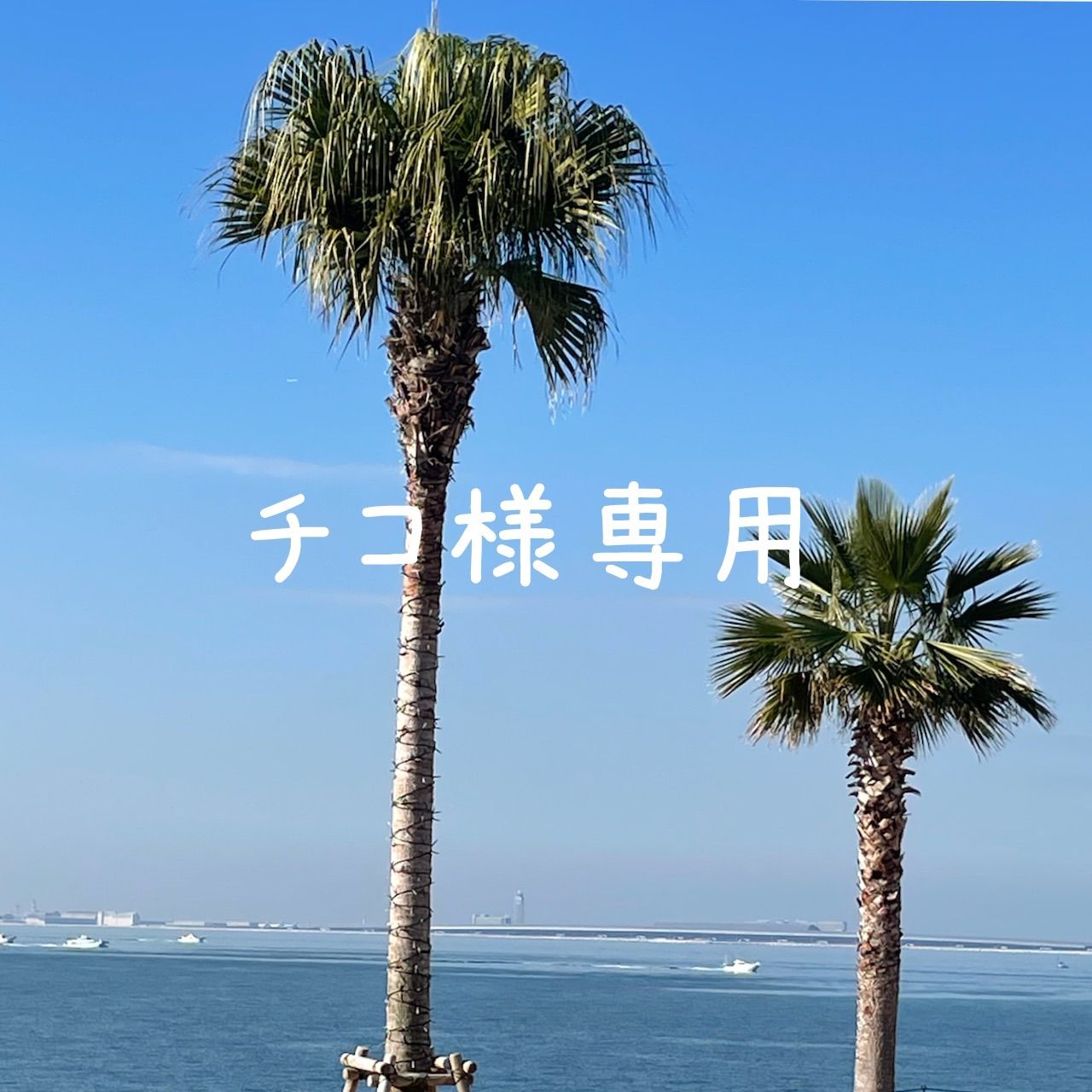 チコ様専用 - メルカリ