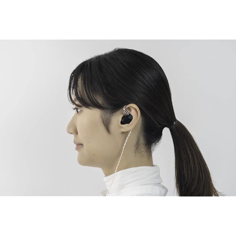 ファイナル A 5000 日本オーディオブランド 柔らかい高純度銀メッキケーブル 高精度ダイナミックf CORE DUドライバ IEM型 2ピンコネクター イヤホン ブラック ホワイト Standard