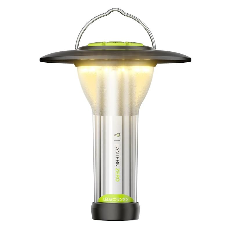 江戸斬り猫左衛門さま専用ページ）！金泊セット