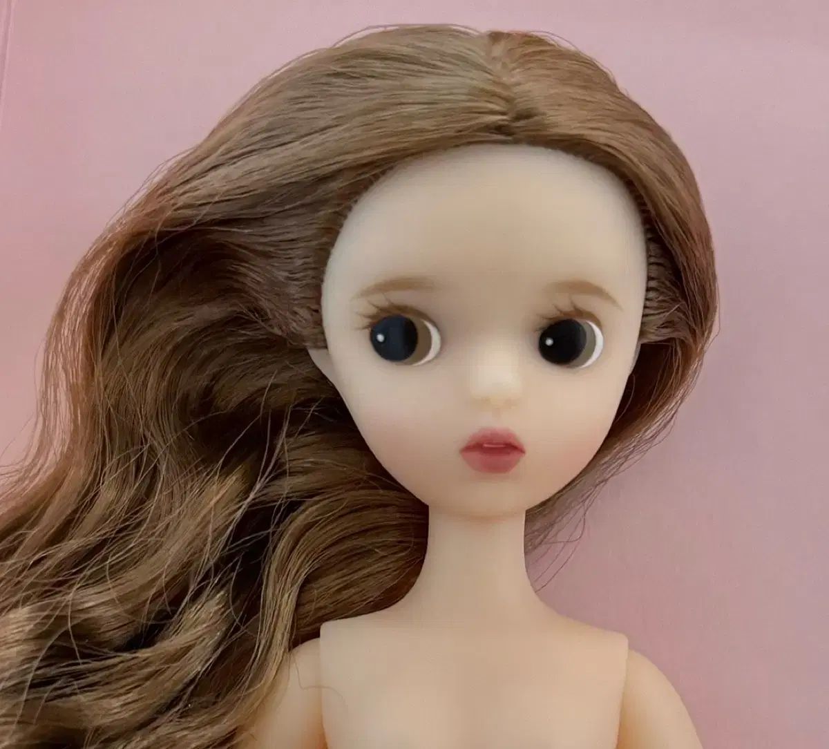 コージー リトル クララ 2019 19コージー