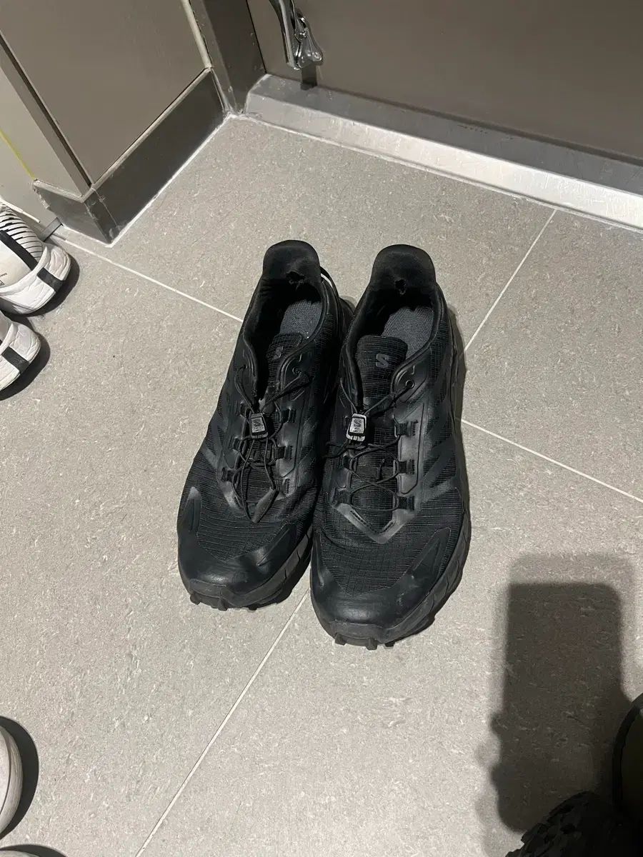 SALOMON スピード クロスです