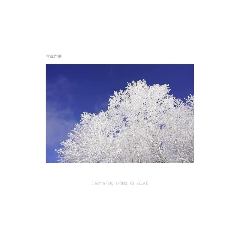 単焦点レンズ E