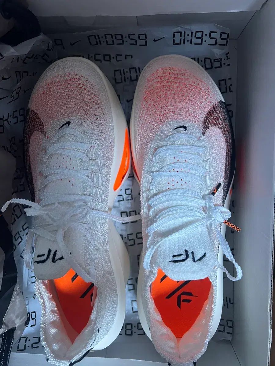  ナイキ エア ズーム アルファフライ 3 NEXT 270 A 級 登山靴 トレッキングシューズ アウトドアシューズ