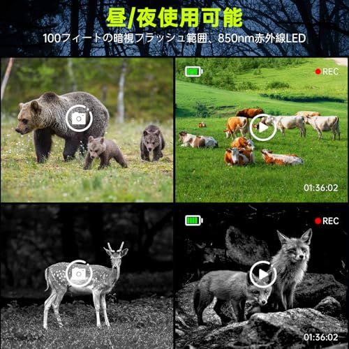 防犯カメラ スマホアプリ対応