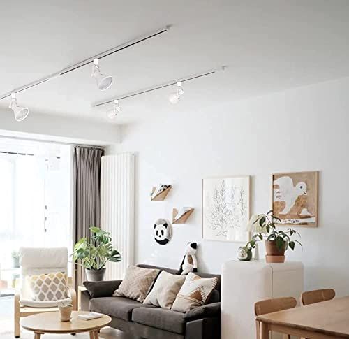 入り ダクトレールスポットライト