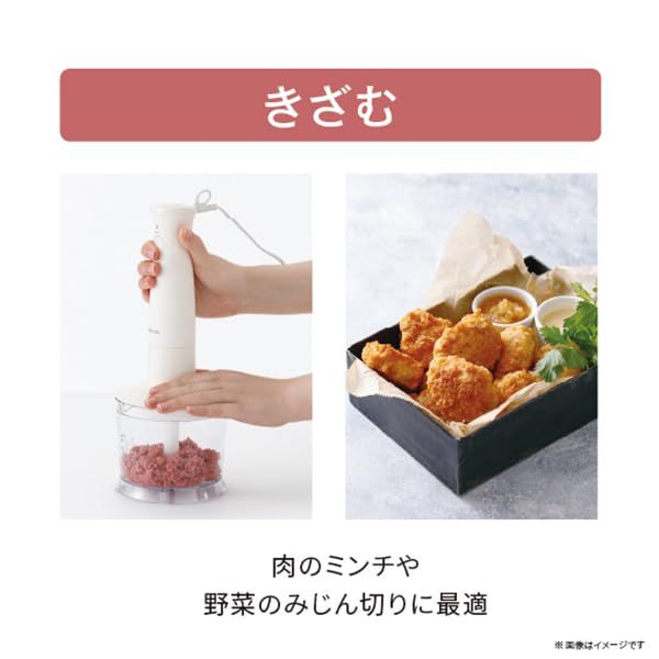 ラク抜きプラグ レシピブック付き