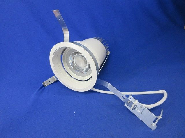 LEDユニバーサルダウンライトφ125 白色 LZD-