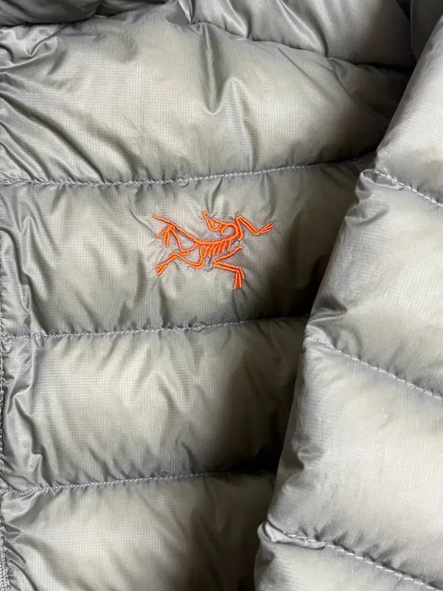 アークテリクス セリウム L ポリッジ