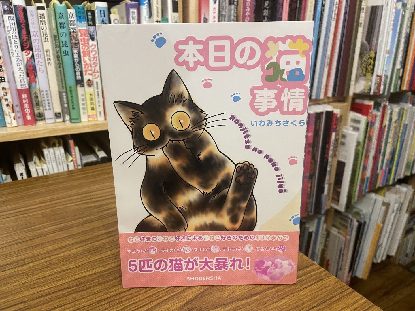 本日の猫事情 いわみちさくら 2001年初版第1刷 祥伝社 - メルカリ