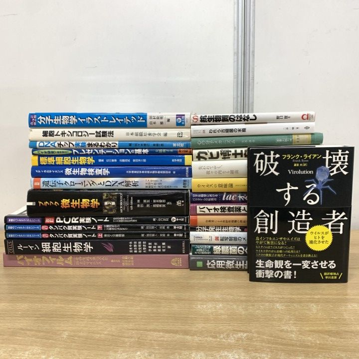 516】 ハンドメイド パッチワークキルト フィードサックのフリーマット