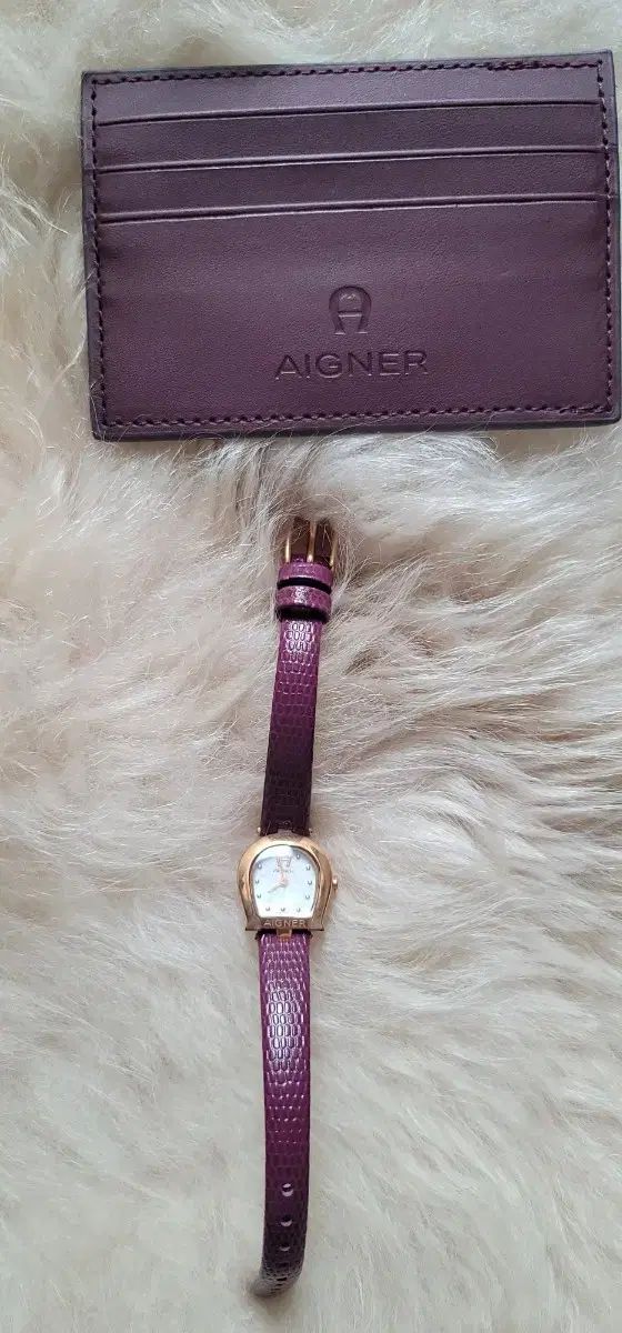 アイグナー 時計 カードウォレット フルセット