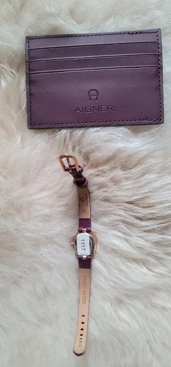  アイグナー 時計 カードウォレット フルセット 自動巻き時計 腕時計(アナログ)
