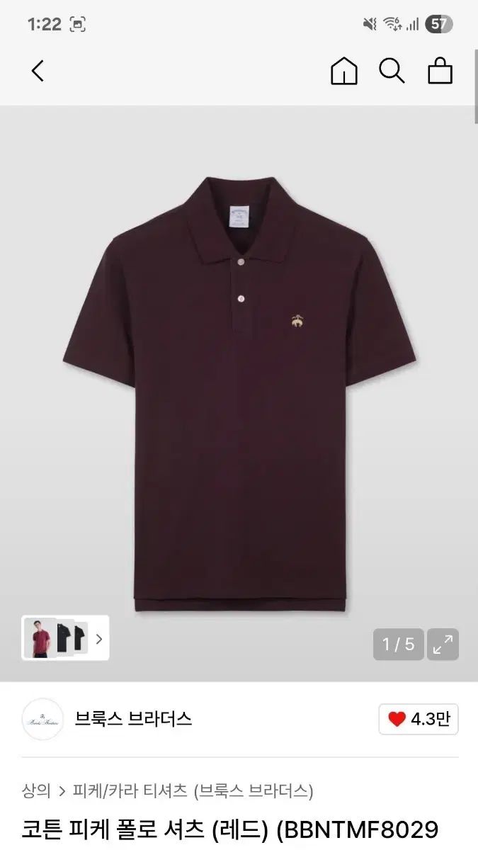 超レア スキンダプサス YUSAN