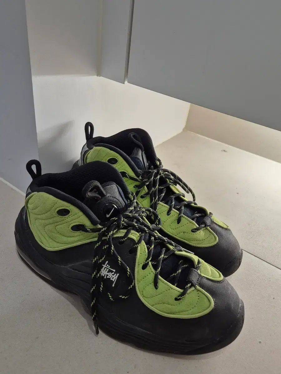 ナイキ STUSSY エアペニー 275