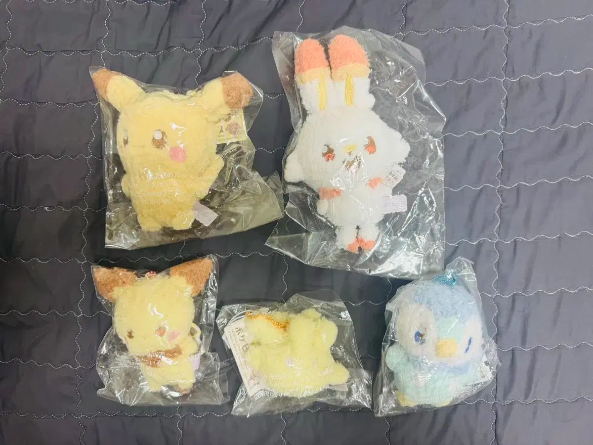 ポケモンセンター ポケキス キーホルダー ぬいぐるみ フルセット