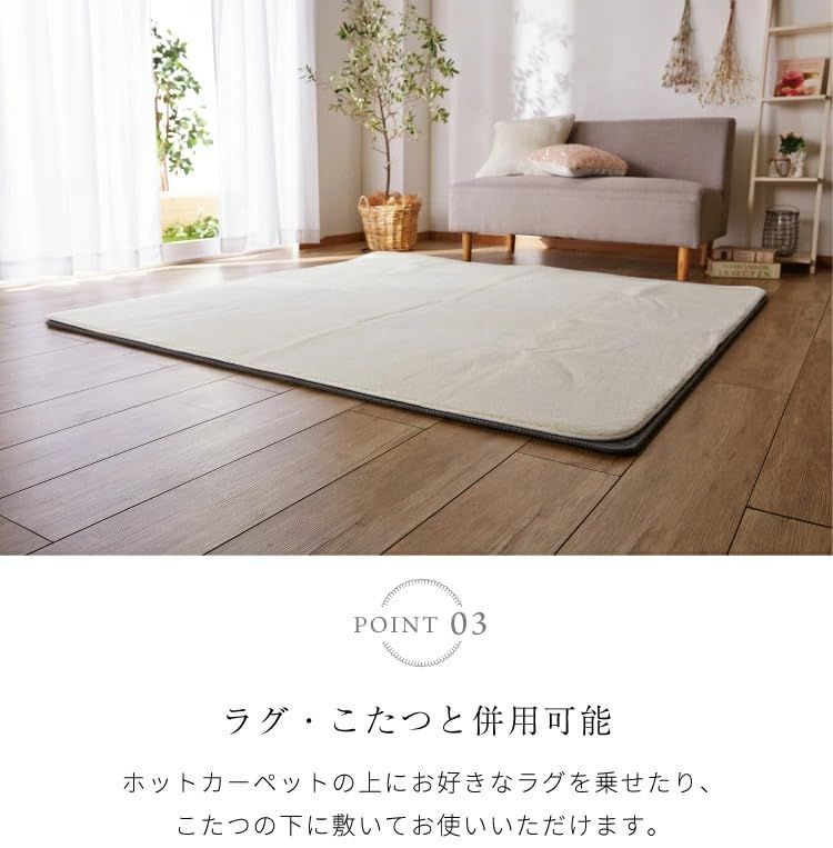 日本製 ホットカーペット 2畳 省エネ 6時間オフタイマー ダニ退治機能
