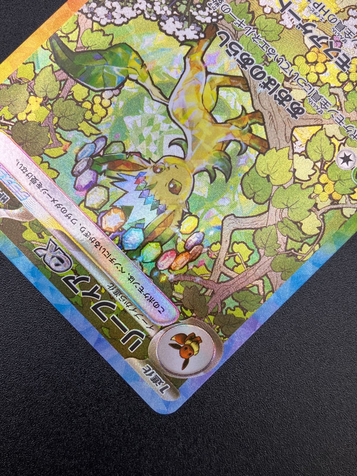 ポケモンカードゲーム ポケカ リーフィアex SAR SV8a-200 SV8a ハイ