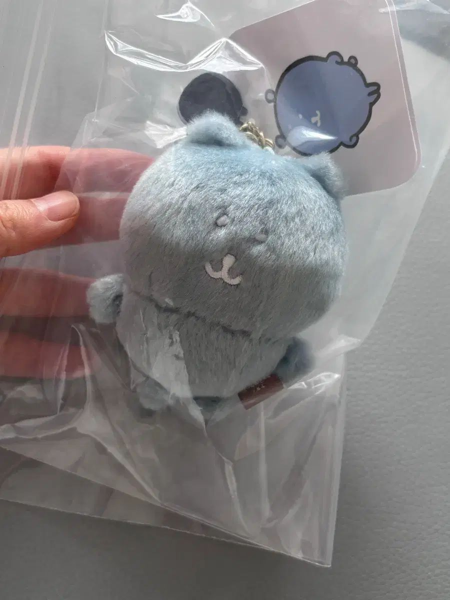 ナガノマーケット 韓国 限定 ブルーグレー COLOR 自分ツッコミくま