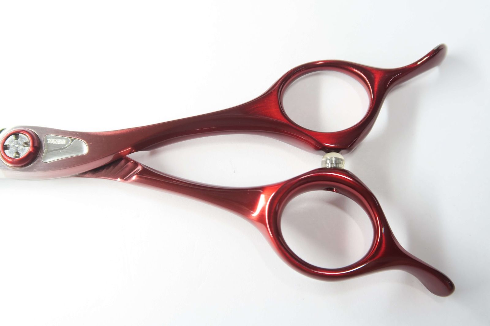 Cランク【トギノン TOGINON】 Queen SUCCESS クイーンサクセス