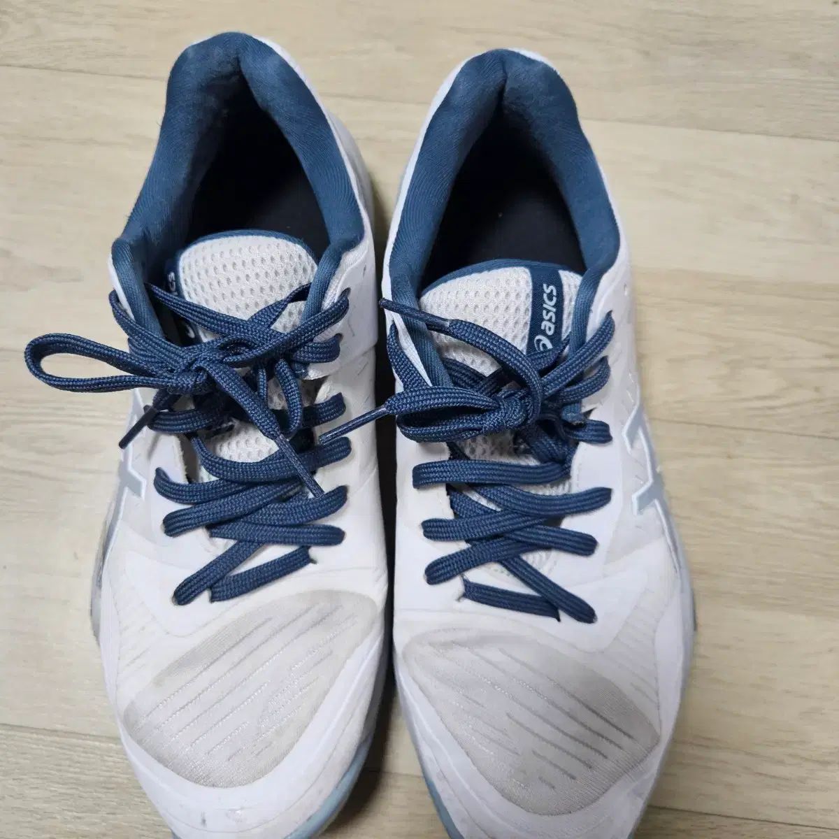 アシックス スカイエリート ffm 260 mm