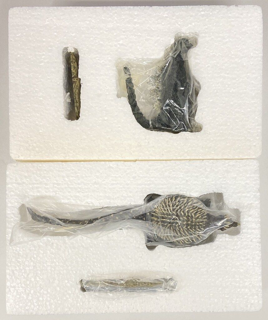 ゴジラ特撮大百科 DELUXE２　ゴジラ & アンギラス　イワクラ　未使用 ゴジラ特撮大百科 DELUXE2 ゴジラ & アンギラス イワクラ 未使用