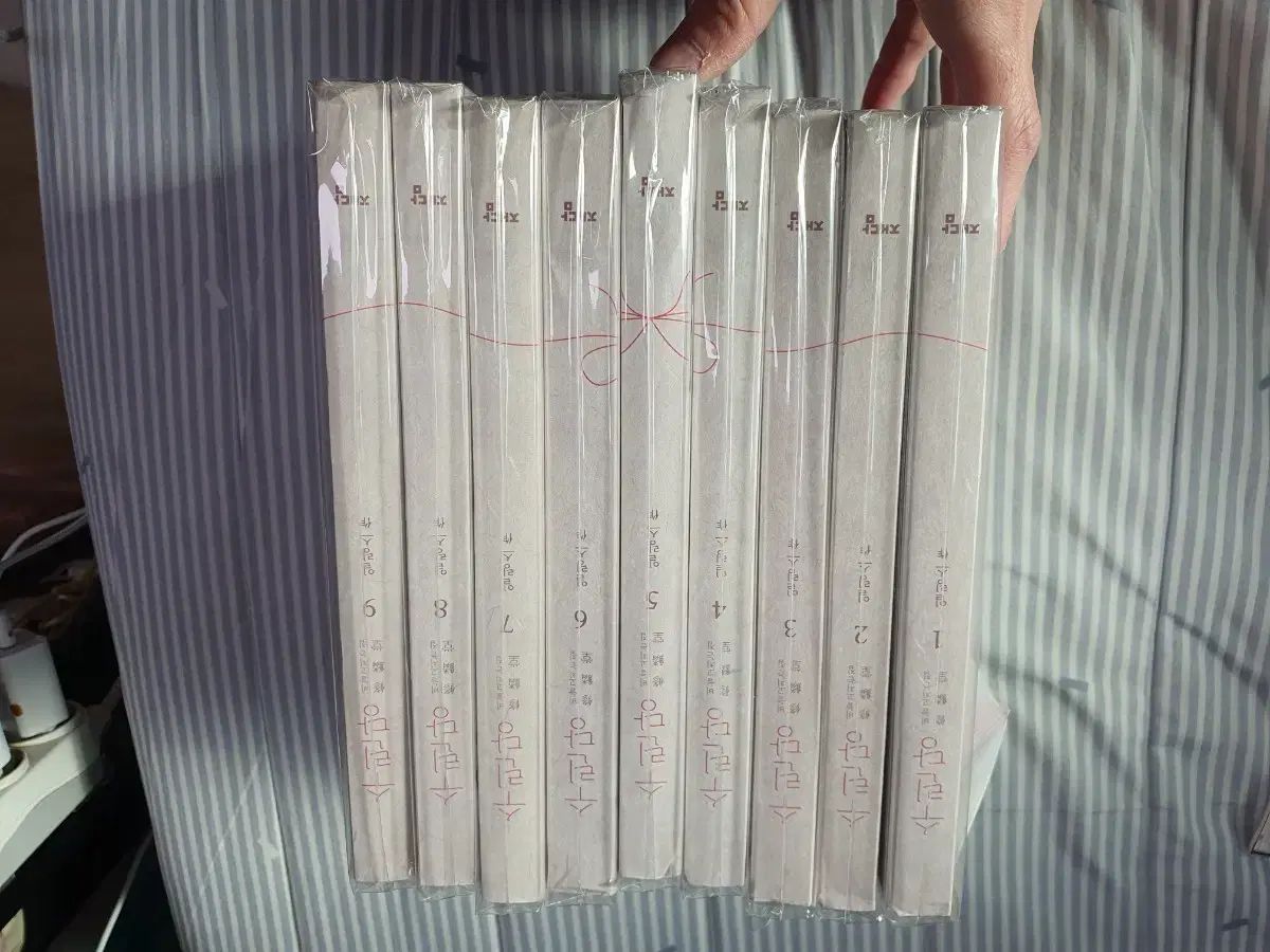 スリンダン 鱗直しの家 1～9巻 全巻セット