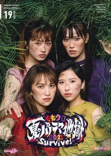 中古】パンフレット ≪パンフレット(ライブ)≫ パンフ)ももいろ