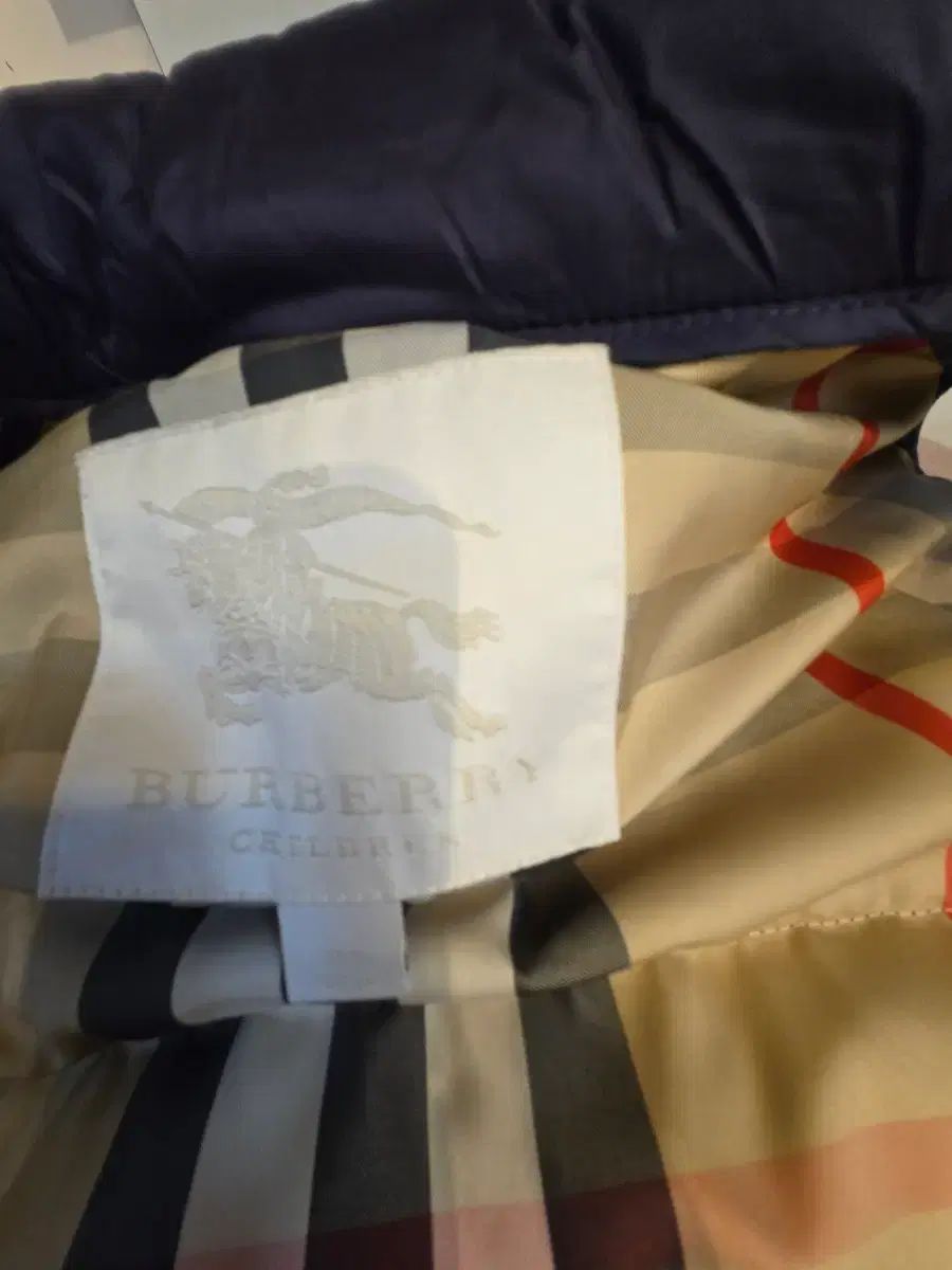 ネイビー ダウン