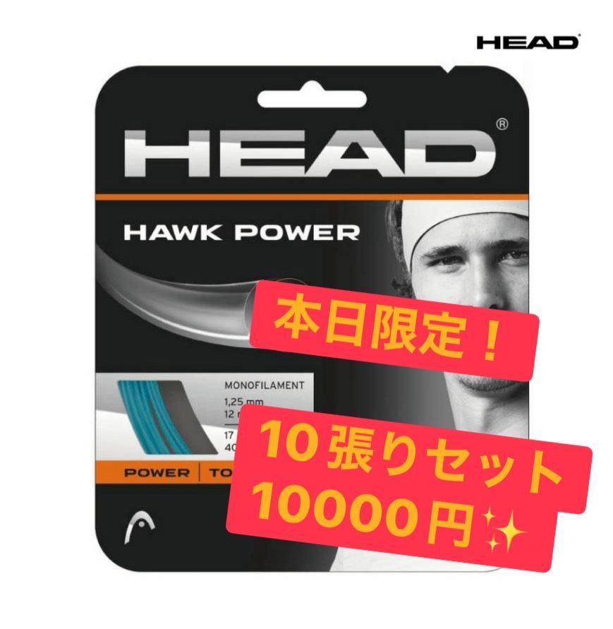 HEAD HAWK POWER 1.25 mm ノンパッケージ10張りセット