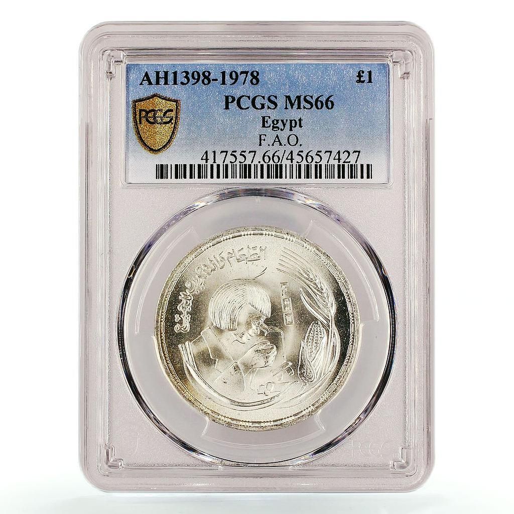 エジプト 1ポンド FAO 顕微鏡を覗く女性 MS66 PCGS 銀貨 1978年 - メルカリ