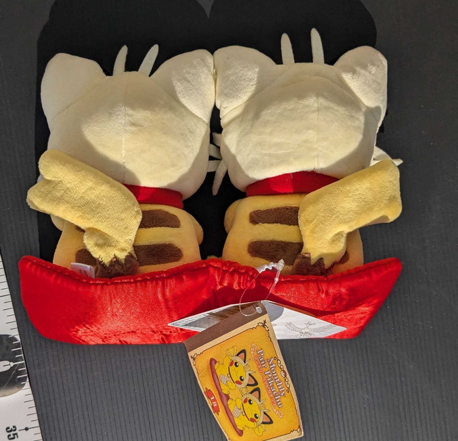 ポケットモンスター ポケモン ＃マンスリーペアピカチュウ #ニャース