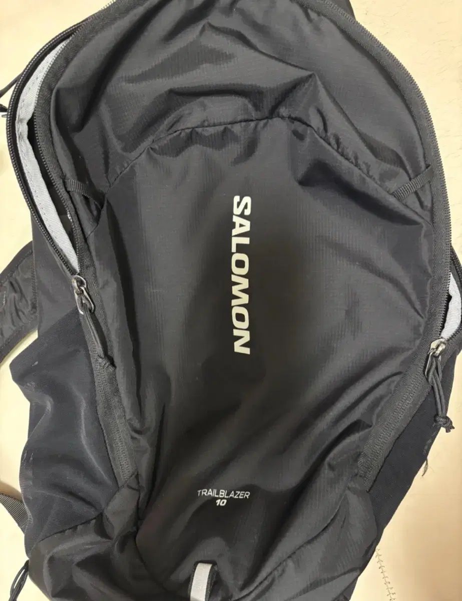 SALOMON サロモン バックパック 10