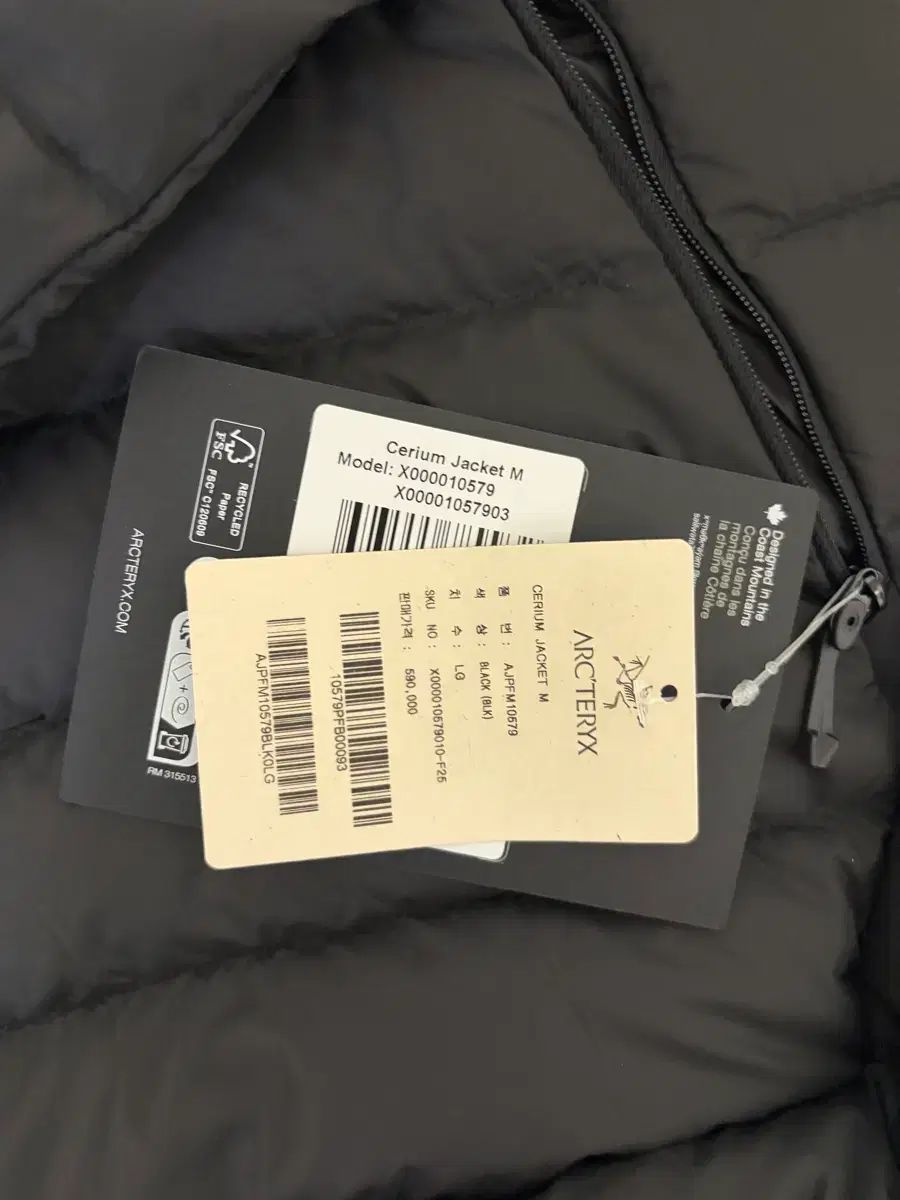 ARC TERYX Cerium アークテリクス セリウム ジャケット L フードなし