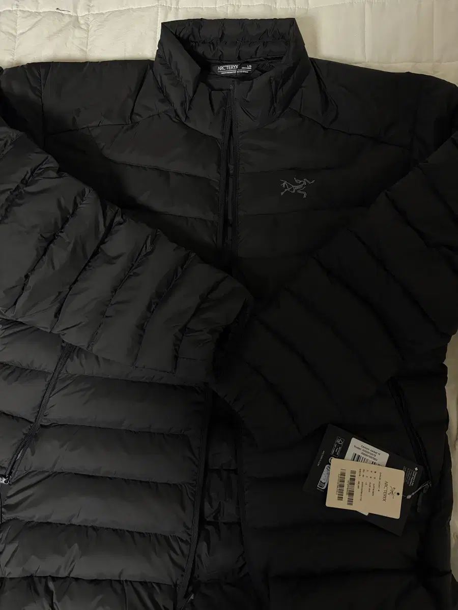 ARC TERYX Cerium アークテリクス セリウム ジャケット L フードなし