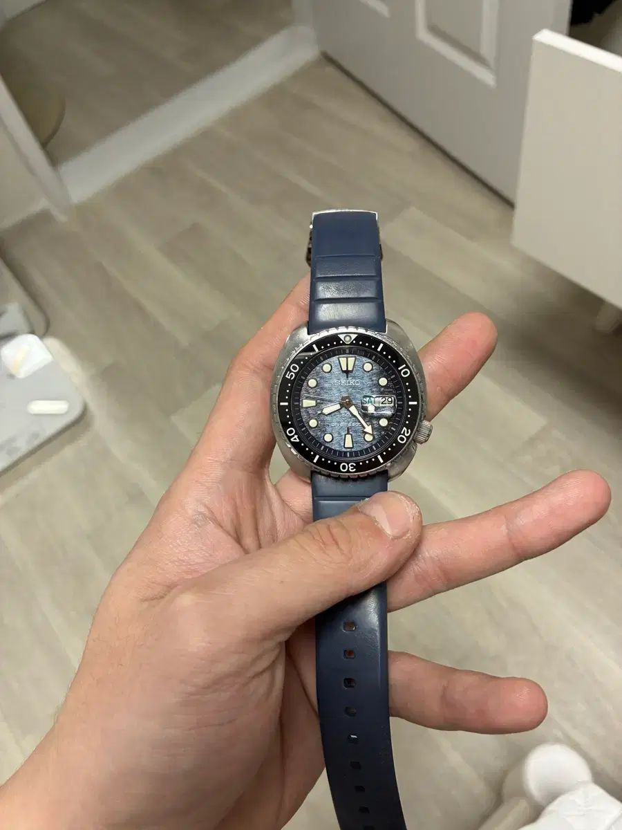 セイコー キングタートル