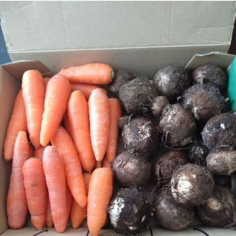 専用　里芋　農薬不使用　やはた芋＆野菜セット　80size 専用 里芋 農薬不使用 やはた芋＆野菜セット 80size 専用 里芋 農薬不