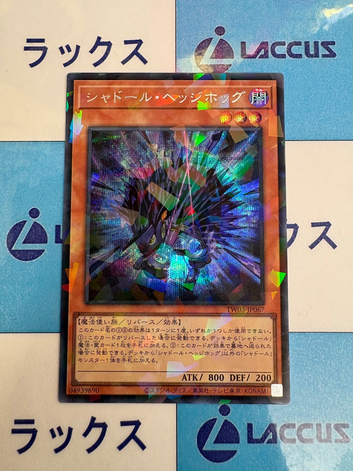 遊戯王 ターミナルワールド3 シャドールヘッジホッグ シークレット