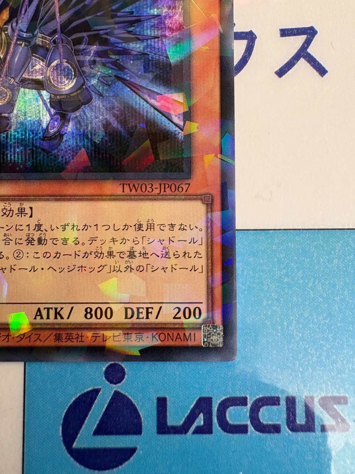 遊戯王 ターミナルワールド3 シャドールヘッジホッグ シークレット