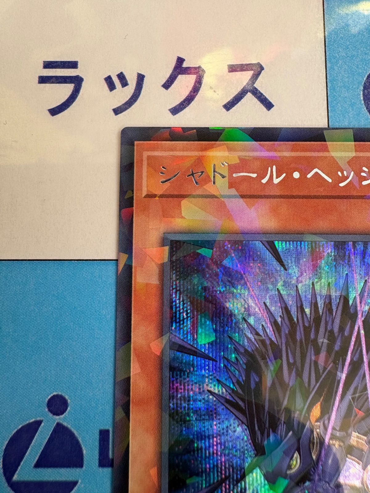 遊戯王 ターミナルワールド3 シャドールヘッジホッグ シークレット