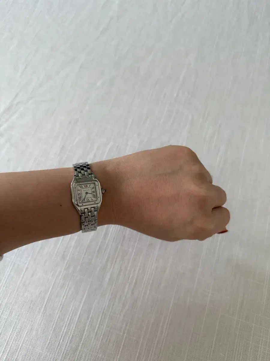 パンダ ウオッチ ミニ mini モデル