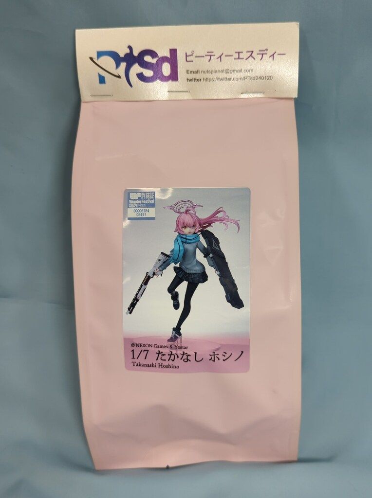 PTSD レジンキャストキット 1 7 タカナシ ホシノ