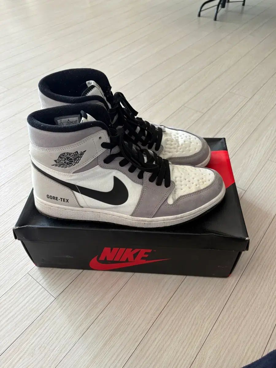 ナイキ エアジョーダン1 ゴアテックス ライト グレー 290