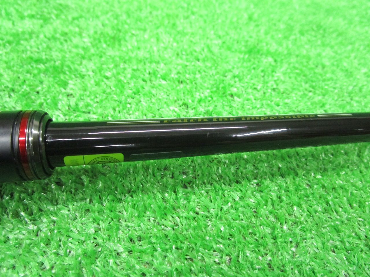 エバーグリーン